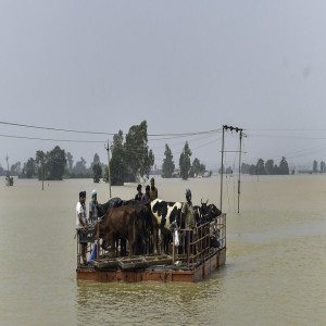 Fundraising for Natural Disaster